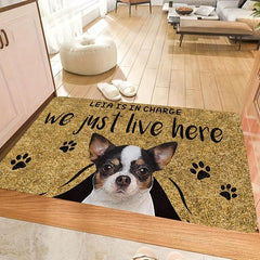 Puppy Print Pet Mat Welcome Doormat Geometric Indoor Outdoor Entrance Mat