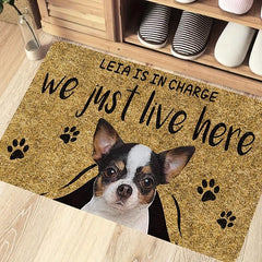 Puppy Print Pet Mat Welcome Doormat Geometric Indoor Outdoor Entrance Mat
