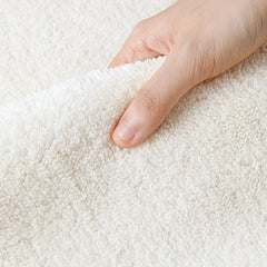 Soft Area Rug for Bedroom Living Room Fluffy Shag Furry Carpet