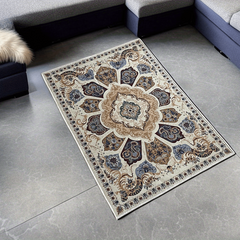Vintage Boho Area Rug Non-slip Washable Door Mat Bohemian Style for Living Room