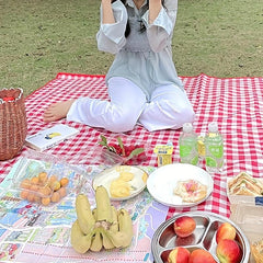 Waterproof Picnic Blanket Sand Proof Handy Portable Large Mat Red