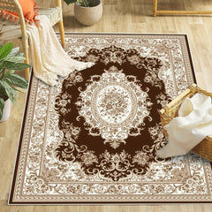 Boho Area Rug for Living Room Washable Persian Rug Soft Vintage Carpet Doormat