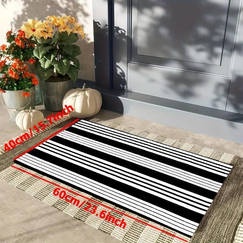 Soft and Thick Water Absorbent Indoor Outdoor Rug Non Slip Bathroom Mat 31 x 47