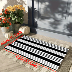 Soft and Thick Water Absorbent Indoor Outdoor Rug Non Slip Bathroom Mat 31 x 47