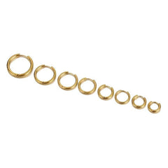 Stainless Steel 18K Plated Hoop Earrings - Daily Wear Accessories
