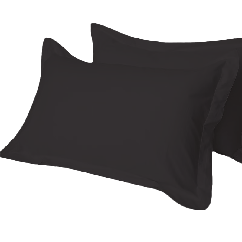 2pcs Microfiber Pillowcases Soft Stain Resistant Pillow Cover