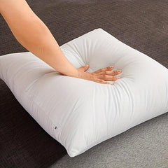 Set of 2 Soft Fluffy Throw Pillow Inserts 45x45cm for Sofa - Decorative Cushions