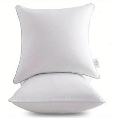 2pcs Square Sofa Pillow Insert Decorative Pillow Insert for Bedroom Dorm Room