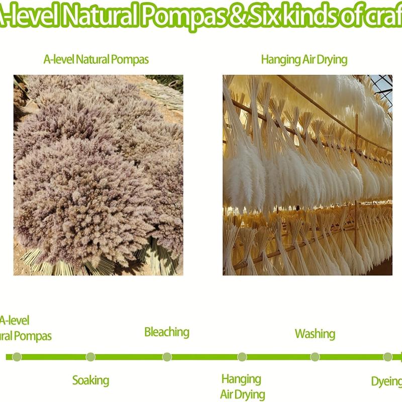 50pcs Dried Pampas Grass Decor Fluffy Long Lasting Bouquet