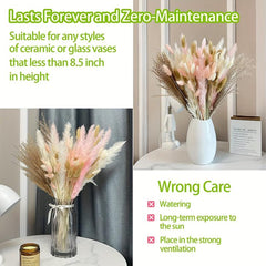 50pcs Dried Pampas Grass Decor Fluffy Long Lasting Bouquet