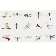 30 Waterproof Dragonfly Stickers for Decoration