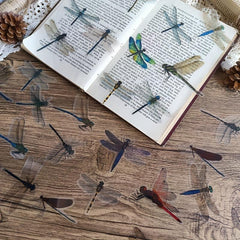 30 Waterproof Dragonfly Stickers for Decoration