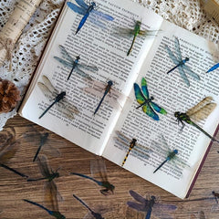 30 Waterproof Dragonfly Stickers for Decoration