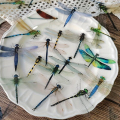 30 Waterproof Dragonfly Stickers for Decoration