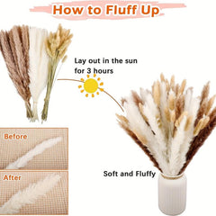 50pcs Dried Pampas Grass Decor Boho Rustic Wedding Farmhouse Holiday Gift