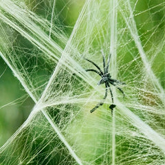 1pc Spider Cotton Spider Web Decorations For Party