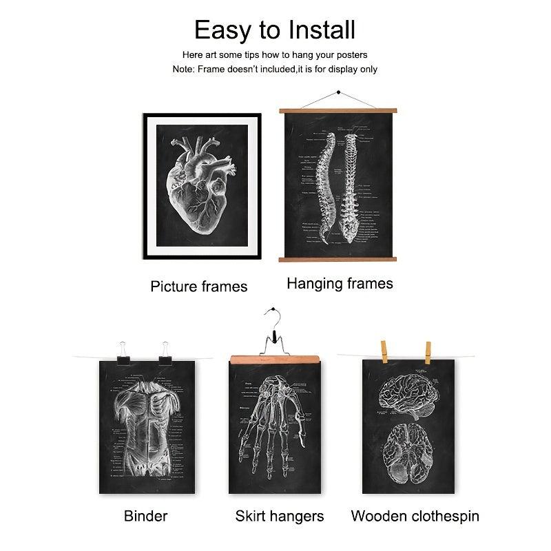 Vintage Human Anatomy Artwork Skeleton Muscle System Poster Canvas Print