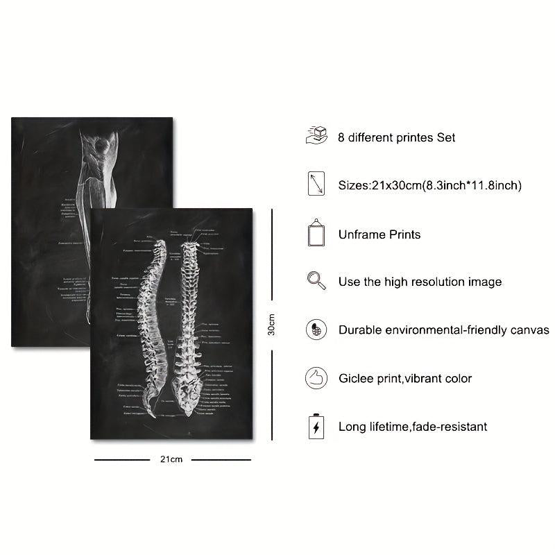 Vintage Human Anatomy Artwork Skeleton Muscle System Poster Canvas Print