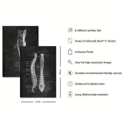 Vintage Human Anatomy Artwork Skeleton Muscle System Poster Canvas Print