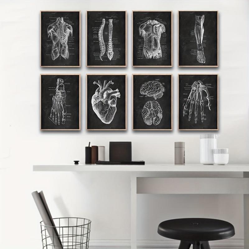 Vintage Human Anatomy Artwork Skeleton Muscle System Poster Canvas Print