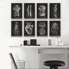 Vintage Human Anatomy Artwork Skeleton Muscle System Poster Canvas Print