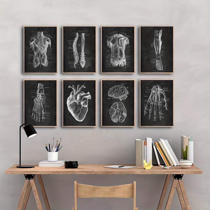 Vintage Human Anatomy Artwork Skeleton Muscle System Poster Canvas Print