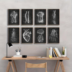 Vintage Human Anatomy Artwork Skeleton Muscle System Poster Canvas Print