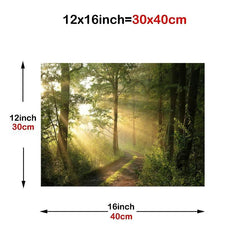 Forest Landscape Painting On Canvas Wall Art