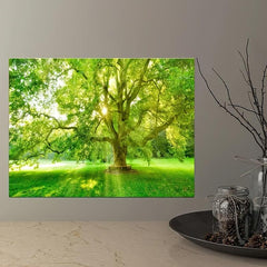 Forest Landscape Painting On Canvas Wall Art
