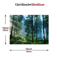 Forest Landscape Painting On Canvas Wall Art