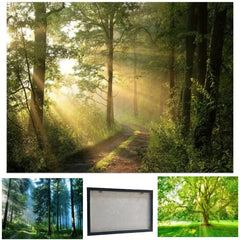 Forest Landscape Painting On Canvas Wall Art