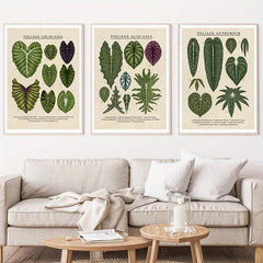 3pcs Foliage Plant Canvas Painting Wall Art For Living Room - Home Decor