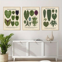 3pcs Foliage Plant Canvas Painting Wall Art For Living Room - Home Decor