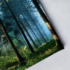 Framed Forest Landscape Canvas Artwork