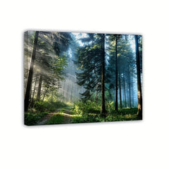 Framed Forest Landscape Canvas Artwork