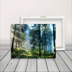 Framed Forest Landscape Canvas Artwork