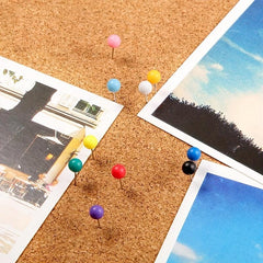 600 Multicolor Push Pins 2.54 20 Round Tips Stainless Steel 10 Colors