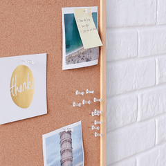 Clear Push Pins Tacks 100 Pack