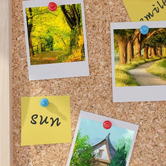 200pcs Mini Colorful Push Pins Photo Picture Map Poster Nails