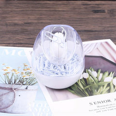 Magnetic Paper Clip Holder Roller Dispenser with 5 Clips