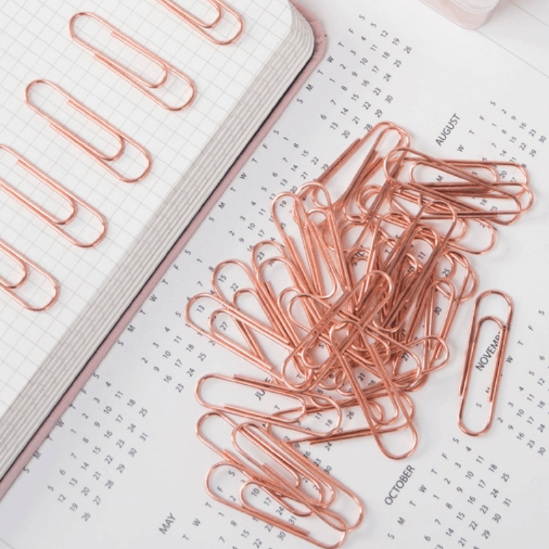 100pcs Rose Paper Clips 28MM Boxed Metal Paper Clips Push Pins For Office Folder