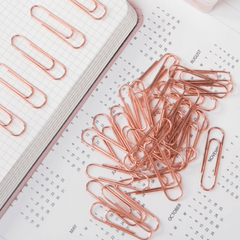 100pcs Rose Paper Clips 28MM Boxed Metal Paper Clips Push Pins For Office Folder