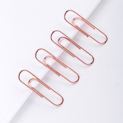 100pcs Rose Paper Clips 28MM Boxed Metal Paper Clips Push Pins For Office Folder