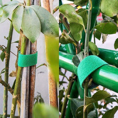 Rattan Green Plant Hook And Loop Tie Wire Strap for Branches Flower Arrangement