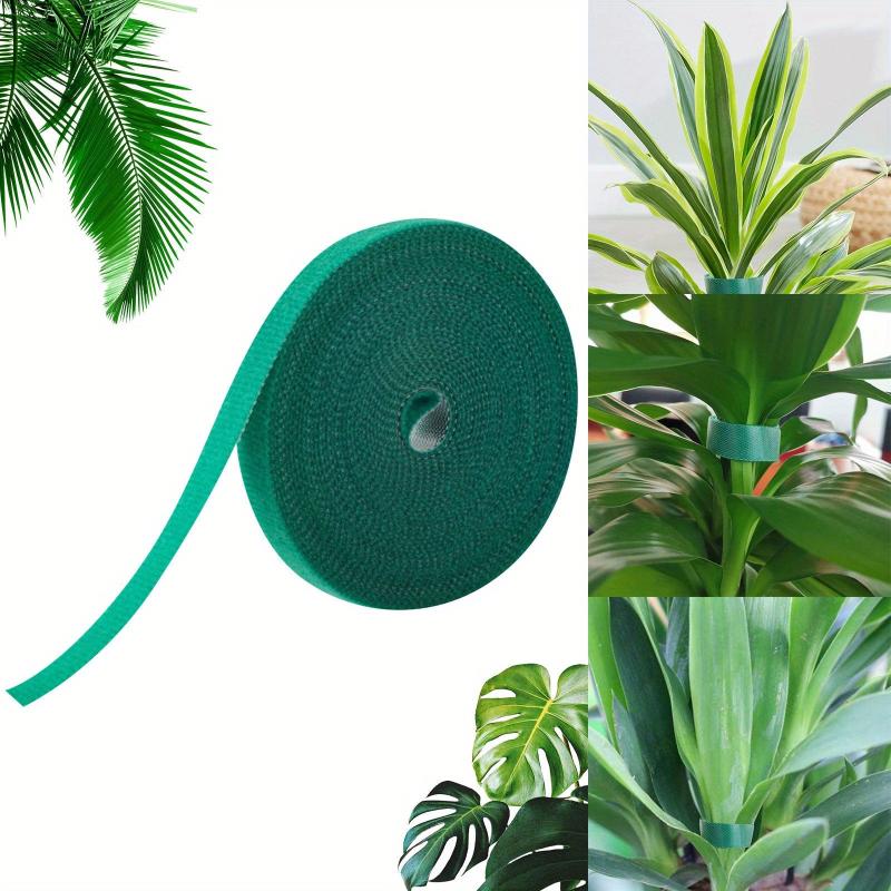 Rattan Green Plant Hook And Loop Tie Wire Strap for Branches Flower Arrangement