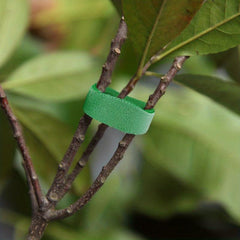 Rattan Green Plant Hook And Loop Tie Wire Strap for Branches Flower Arrangement