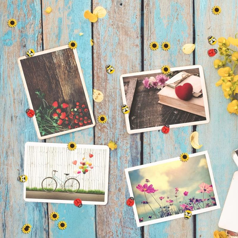 55pcs Sunflower Bee Ladybug Push Pins Wooden Bees Ladybugs Decorative Flowers