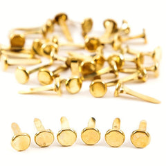 Golden Double Nails DIY Sheep Horn Nails