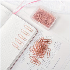 Paper Clip Box for Students - Office Supplies