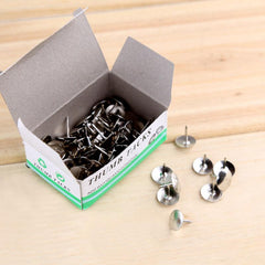 Pushpins Box - Pack of 100 Standard Office Pins